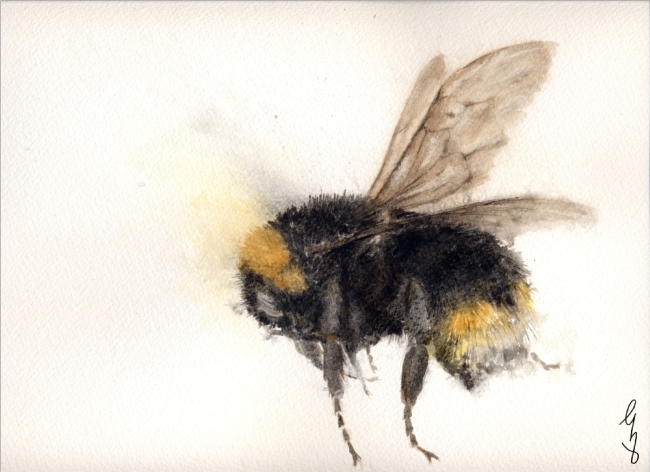 Bee Series 4