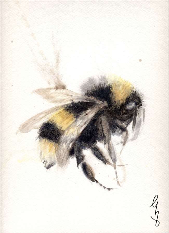 Bee Series 6